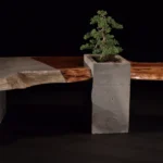 image asset 17