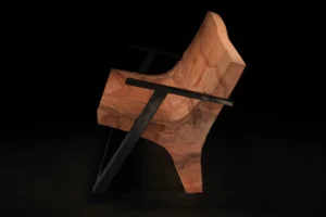 image asset 21